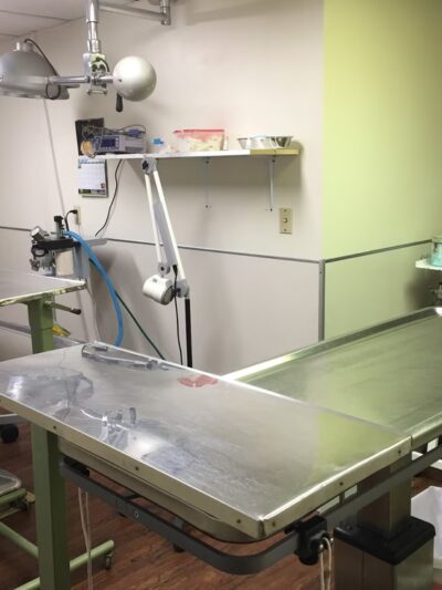 Spay Neuter Clinic: Pittsburgh - North Hills - Allison Park, PA