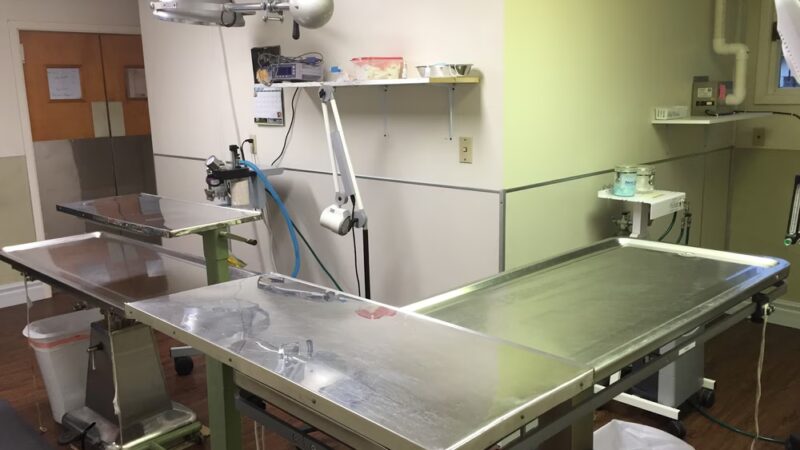 Spay Neuter Clinic: Pittsburgh - North Hills - Allison Park, PA