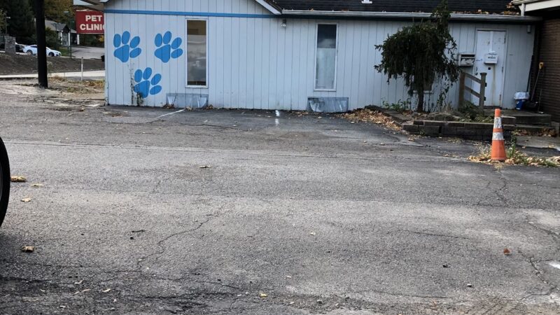 Spay Neuter Clinic: Pittsburgh - North Hills - Allison Park, PA