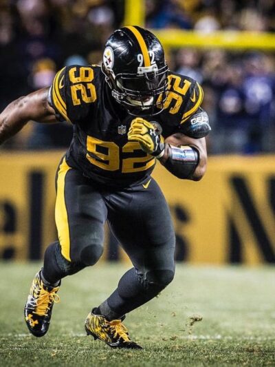 Stone Ridge Park - Allison Park, PA