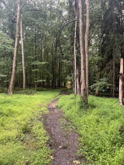 The Meadow at Hartwood Acres - Allison Park, PA