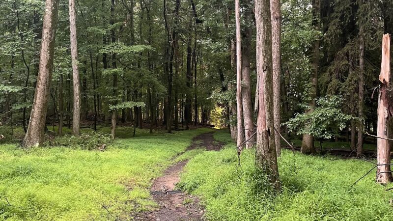The Meadow at Hartwood Acres - Allison Park, PA