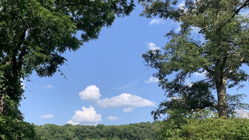 The Meadow at Hartwood Acres - Allison Park, PA