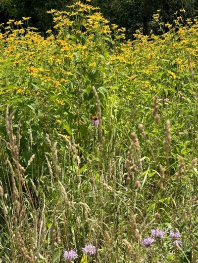 The Meadow at Hartwood Acres - Allison Park, PA