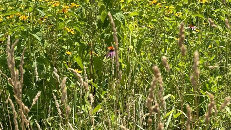 The Meadow at Hartwood Acres - Allison Park, PA