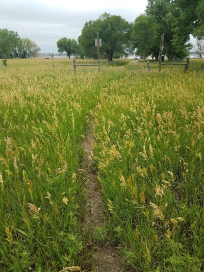 Alma Vista Overlook & Peckerneck Horse Trail - Alma, NE