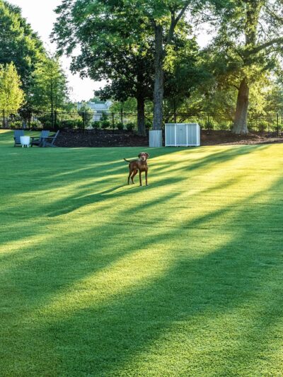 Off Leash Dog Park Alpharetta - Alpharetta, GA