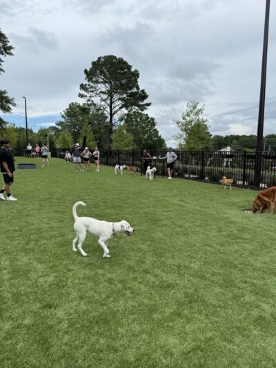 Off Leash Dog Park Alpharetta - Alpharetta, GA