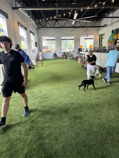 Off Leash Dog Park Alpharetta - Alpharetta, GA