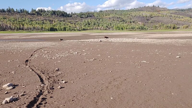 Wicker's Park - Alpine, WY