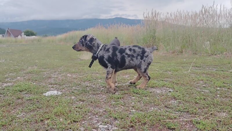 Wicker's Park - Alpine, WY