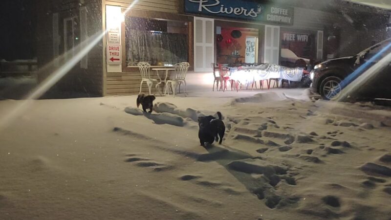 Wicker's Park - Alpine, WY