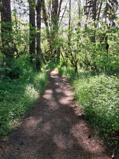 Clemens Park - Alsea, OR