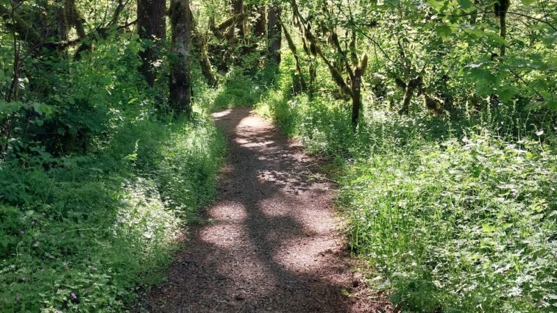 Clemens Park - Alsea, OR