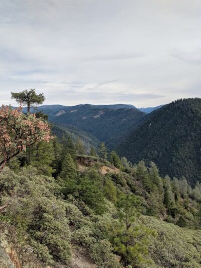 Euchre Bar Trailhead - Alta, CA