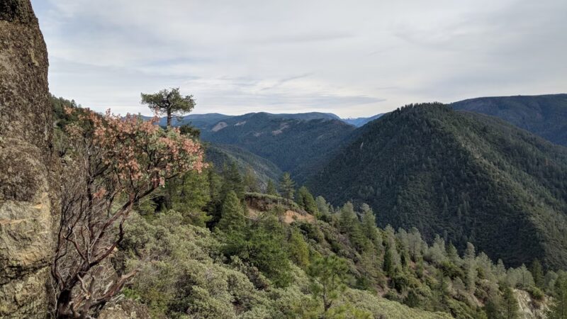 Euchre Bar Trailhead - Alta, CA