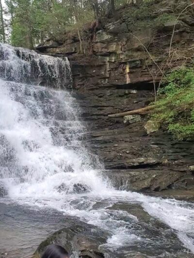 Boardtree Falls - Altamont, TN
