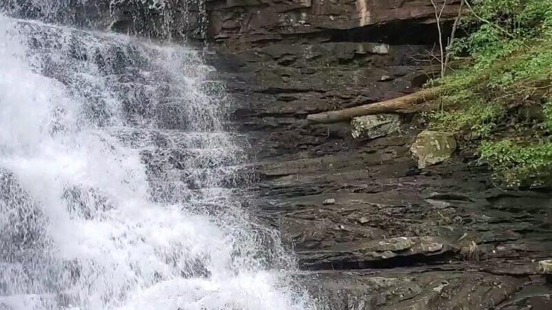 Boardtree Falls - Altamont, TN