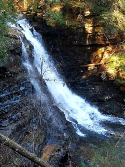 Boardtree Falls - Altamont, TN