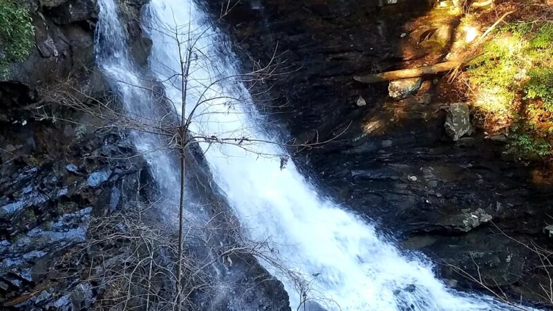 Boardtree Falls - Altamont, TN