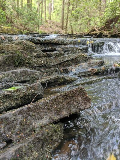 Boardtree Falls - Altamont, TN