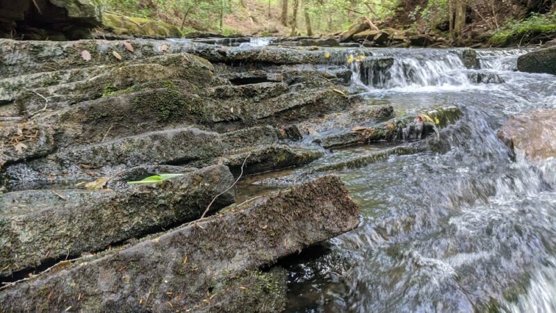 Boardtree Falls - Altamont, TN