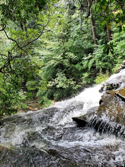 Boardtree Falls - Altamont, TN