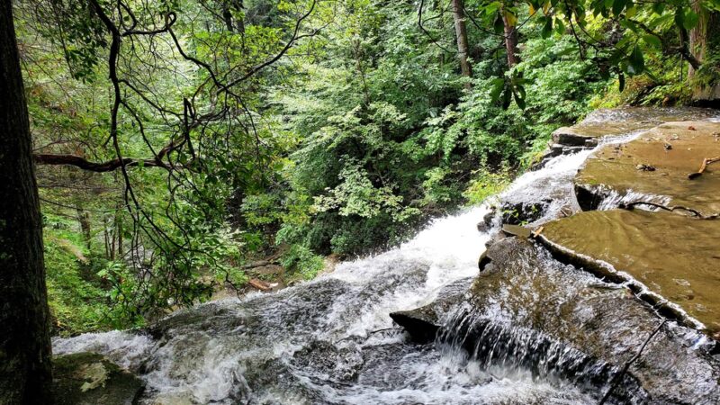 Boardtree Falls - Altamont, TN
