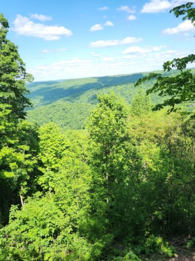 Tennessee Glamping - Altamont, TN