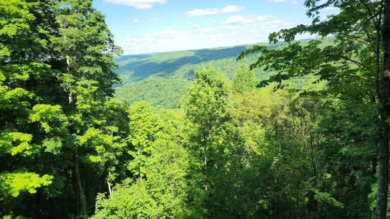 Tennessee Glamping - Altamont, TN