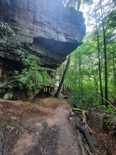 West Blue Hole - Altamont, TN