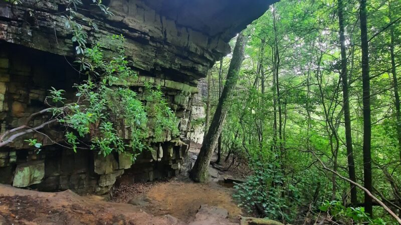 West Blue Hole - Altamont, TN