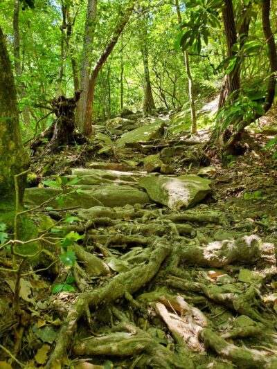 West Blue Hole - Altamont, TN