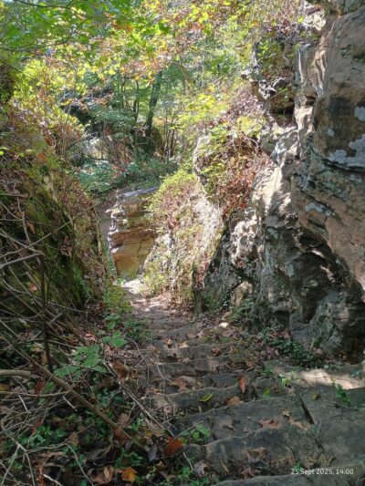 Alto Pass Park - Alto Pass, IL