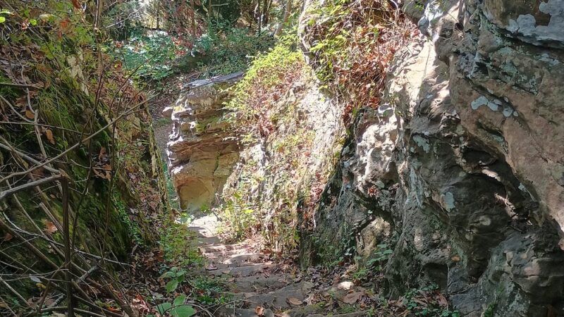Alto Pass Park - Alto Pass, IL