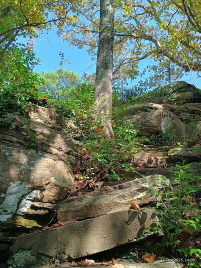Alto Pass Park - Alto Pass, IL