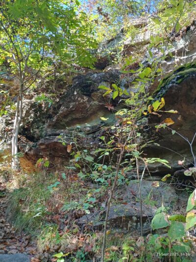 Alto Pass Park - Alto Pass, IL