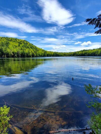 Knights Pond Conservation Area - Alton, NH