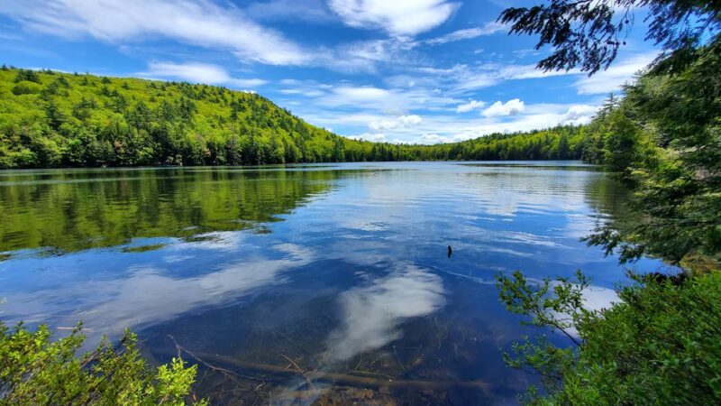 Knights Pond Conservation Area - Alton, NH