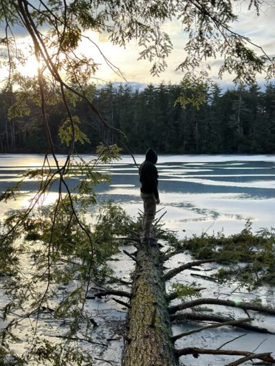 Knights Pond Conservation Area - Alton, NH