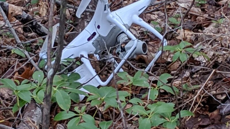 Brush Mountain Woodlands Preserve - Altoona, PA
