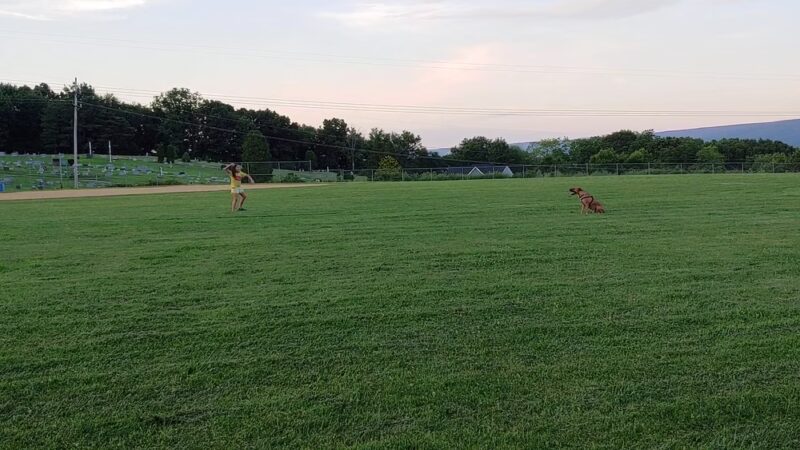 Westfall Park - Altoona, PA