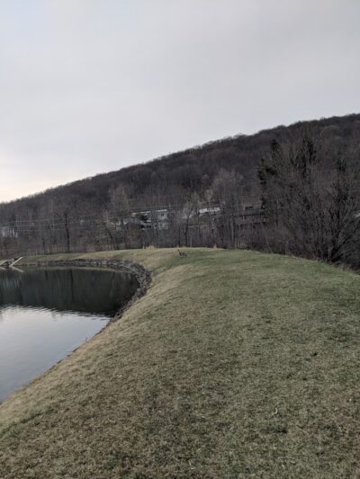 Westfall Park - Altoona, PA