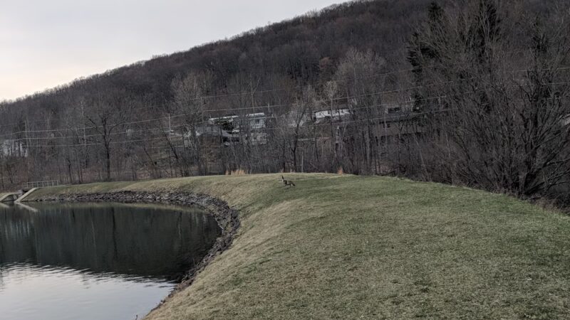 Westfall Park - Altoona, PA