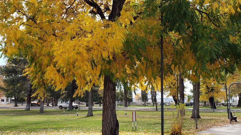Modoc County Park - Alturas, CA