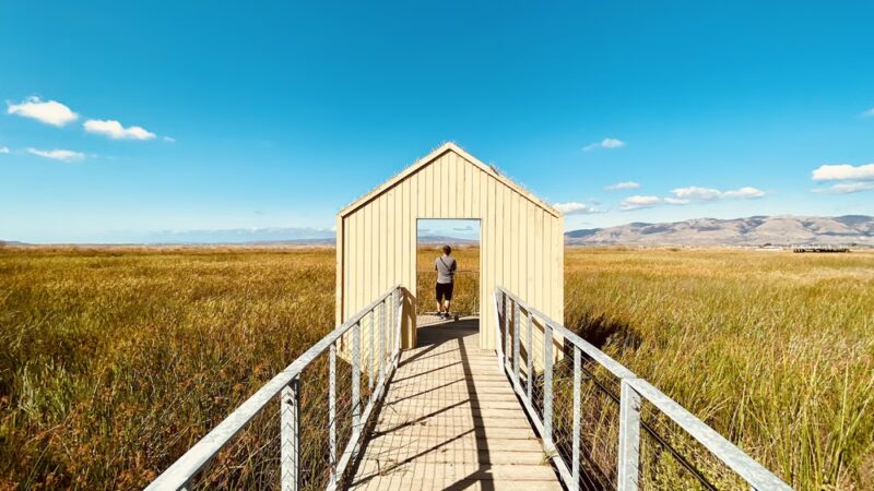 Alviso Marina County Park - Alviso, CA