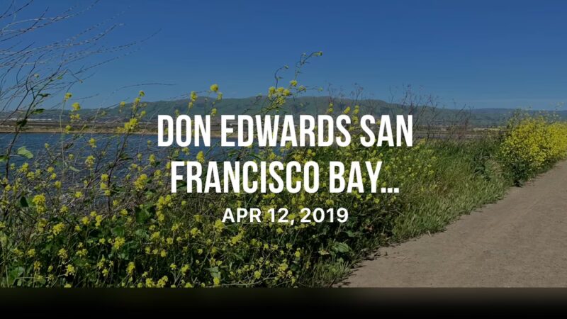 Alviso Marina County Park - Alviso, CA