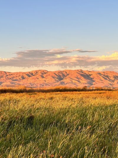 Alviso Marina County Park - Alviso, CA