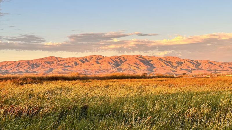 Alviso Marina County Park - Alviso, CA
