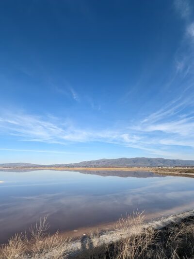 Alviso Marina County Park - Alviso, CA